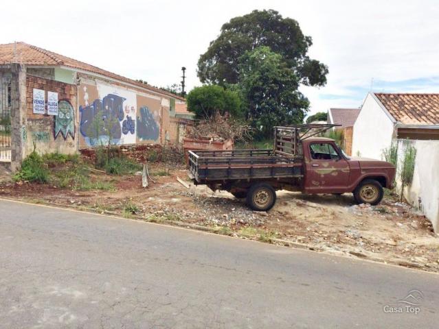 Terreno para alugar em Uvaranas, Ponta grossa cod:256 - Foto 2