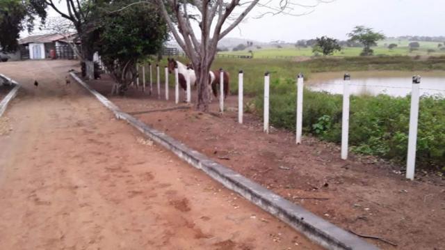 Fazenda para venda em feira nova, feira nova - Foto 14