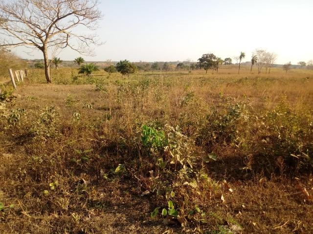 Fazenda há 10 km na MT 010 Estrada da Guia - Foto 12