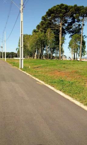 Terrenos 125m² - Foto 6
