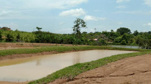 Chacara - Foto 2
