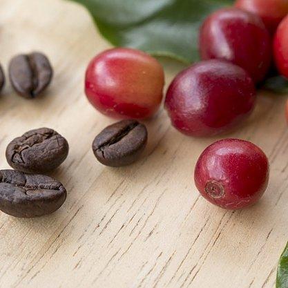 Café 100% arábica do sul de minas gerais