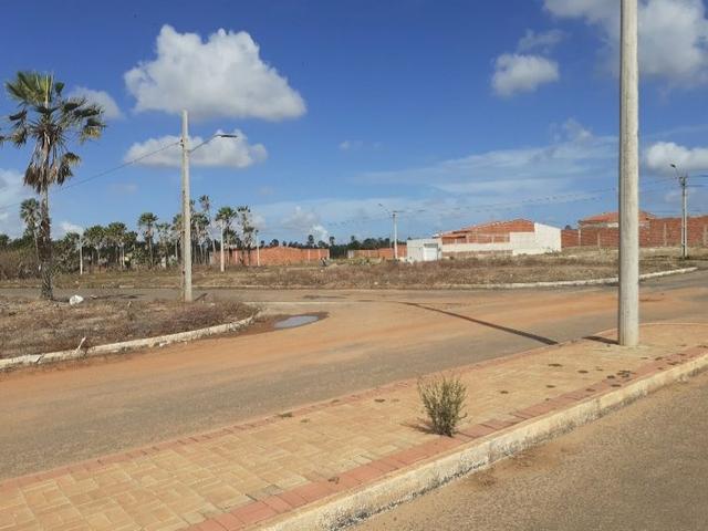 " Loteamento prox a CEASA já Pode construir