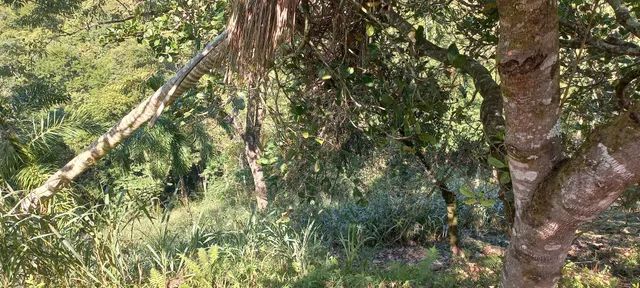 Chacara  Pedro de Toledo SP - Foto 6