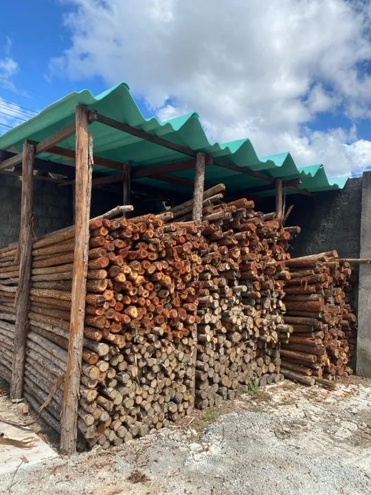 ESTRONCAS / ESCORAS DE EUCALIPTO  - Foto 2