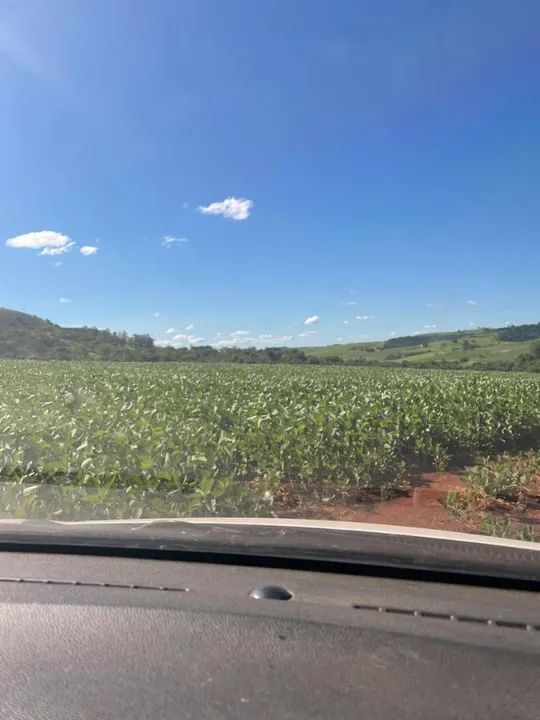 Sítio 31 alqueiro aceita uma parte em imóvel dando renda - Foto 3