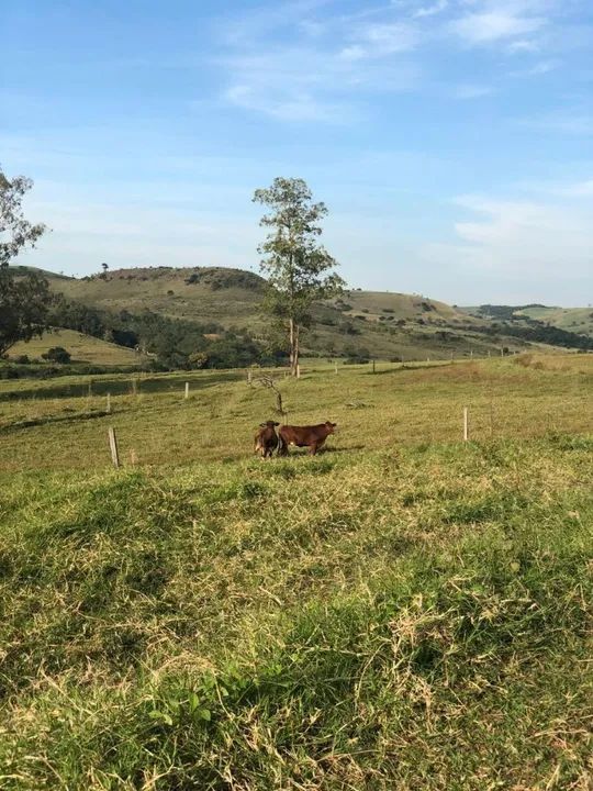 Sítio 31 alqueiro aceita uma parte em imóvel dando renda - Foto 4