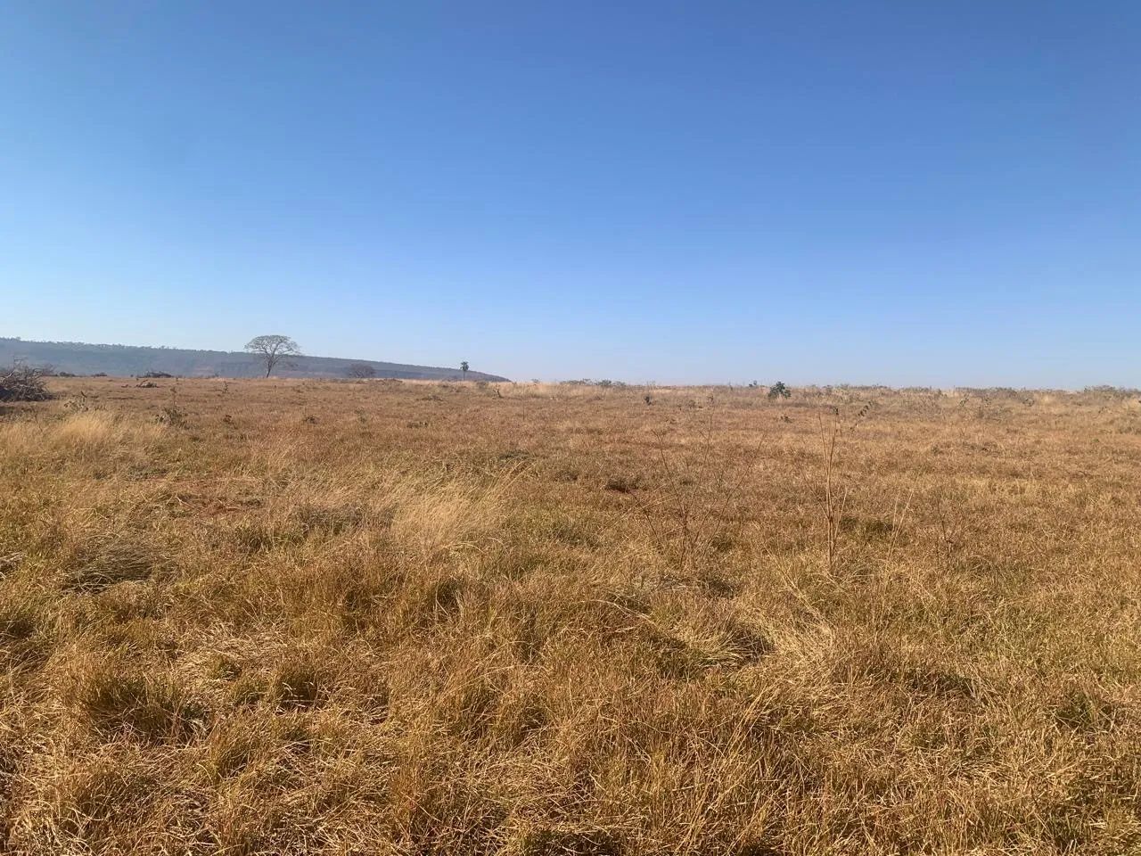 Fazenda em campina verde  - Foto 4