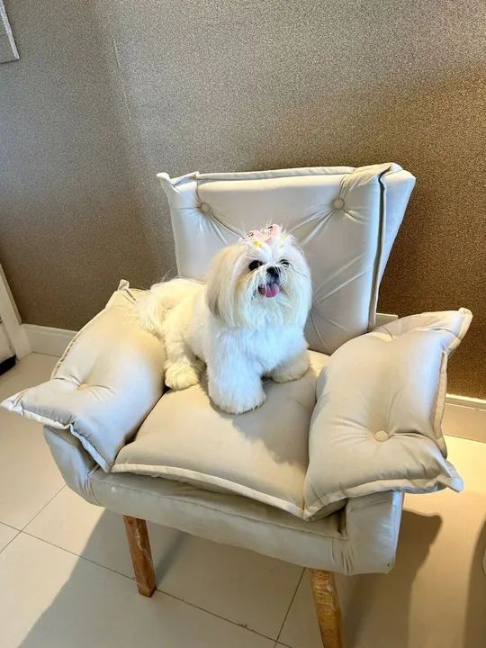 Poltrona modelo opala lindas confortável 