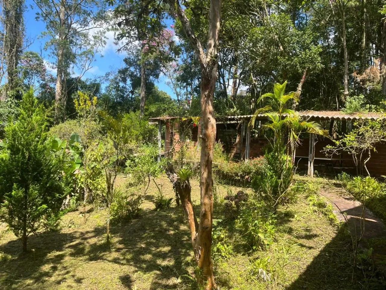 Chácara Embu Guaçu Com Escritura - Foto 6