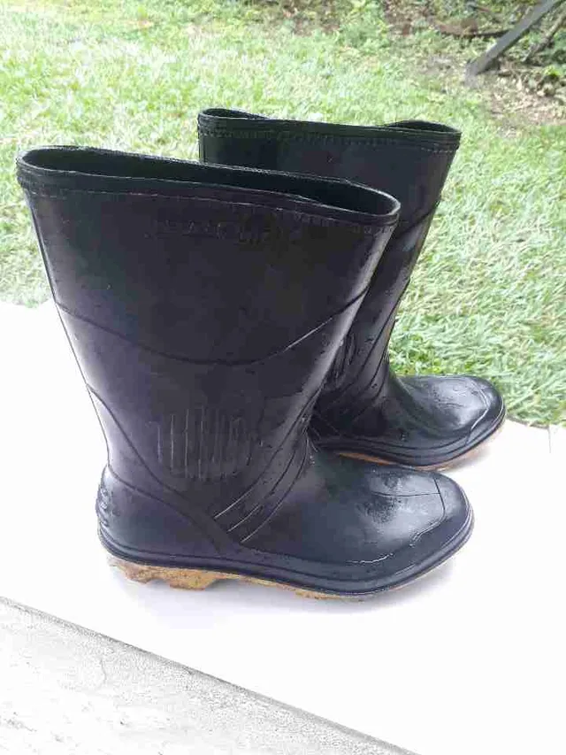 Bota