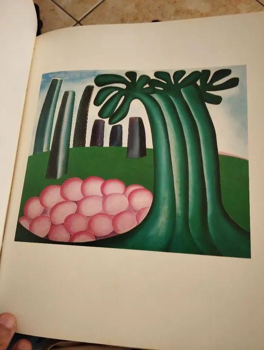 Tarsila do Amaral - Livro/Enciclopédia  - Foto 4
