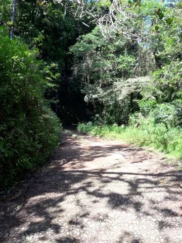 Fazenda 80 alqueires...Miracatu-SP com bananal - Foto 13
