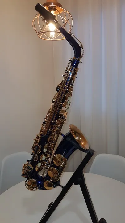 SAXOFONE ALTO WERIL PARA MUSICOS EXIGENTES