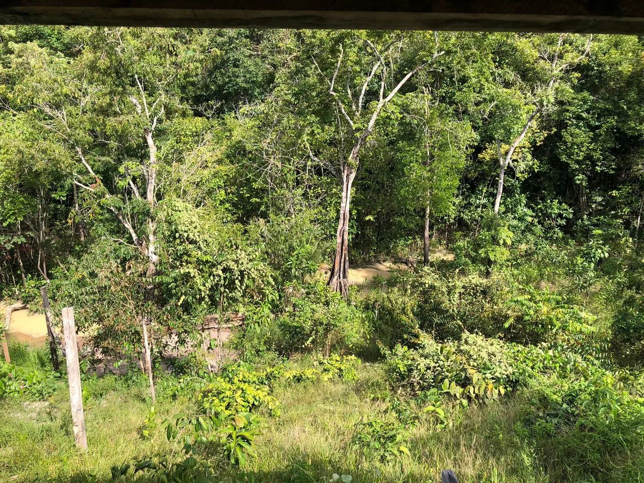 Foto - Manaus - Puraquequara