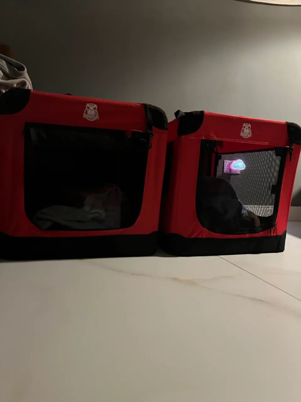 Dogfly transport boxes64309469666946121