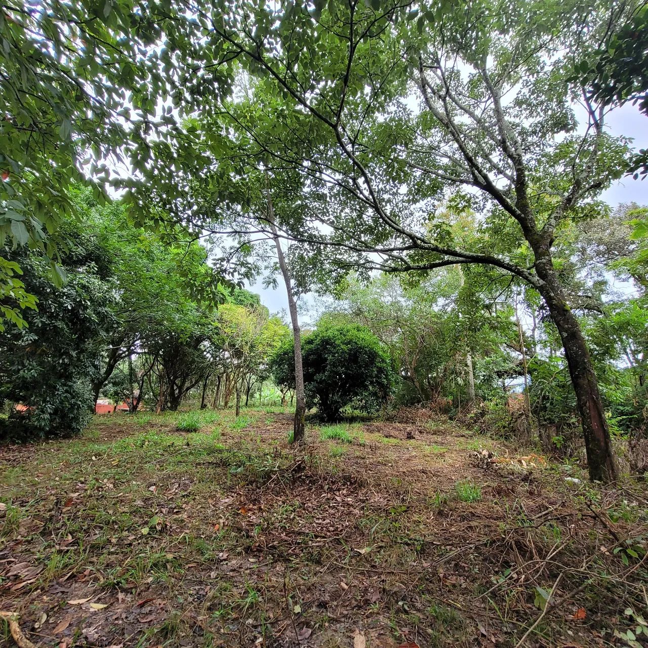 Venda de terreno de 800m2 no condomínio Saraiva em Betim - Terrenos ...