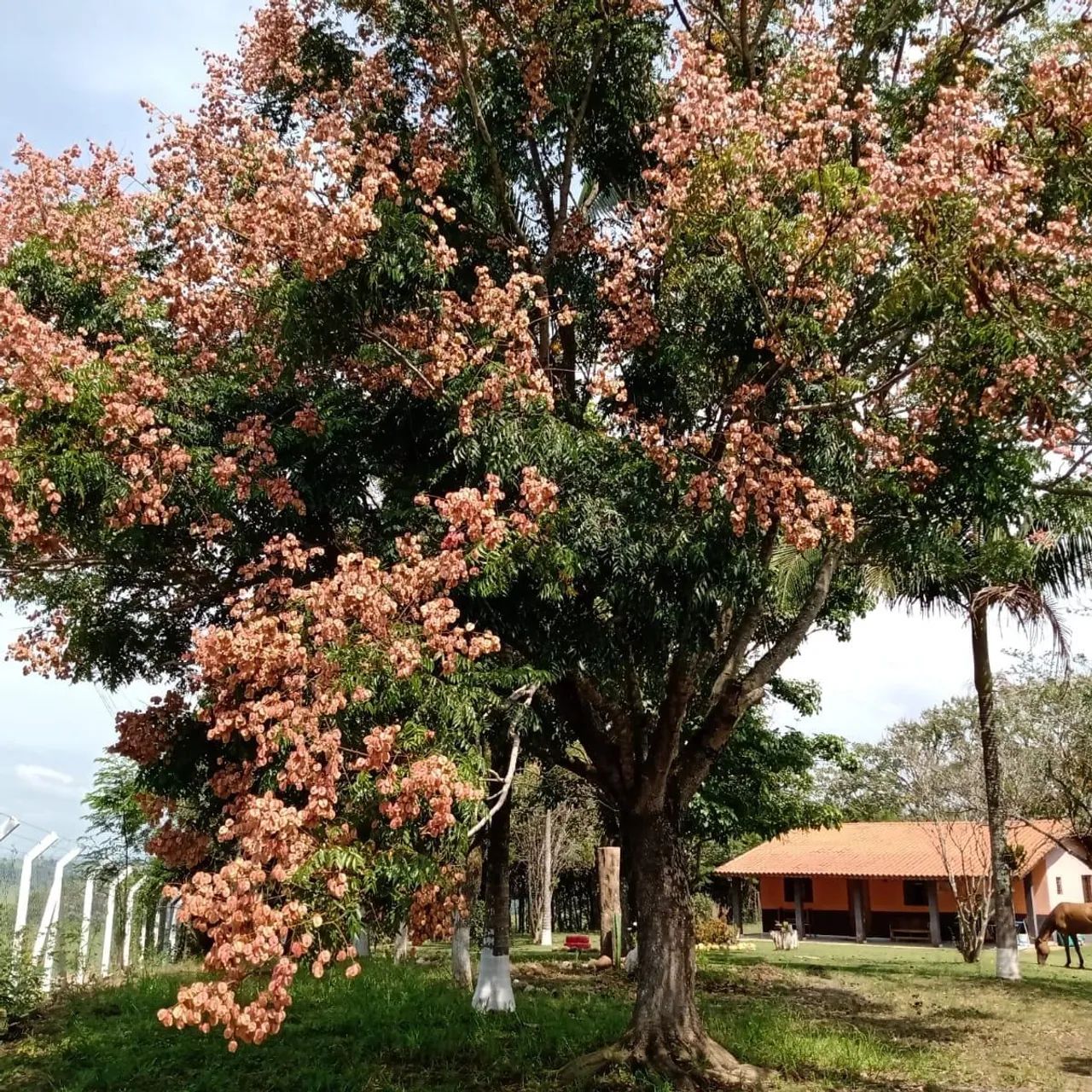 Sitio em condomínio fechado para final de semana 