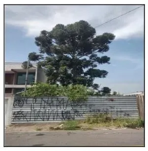MAUA - VILA BOCAINA