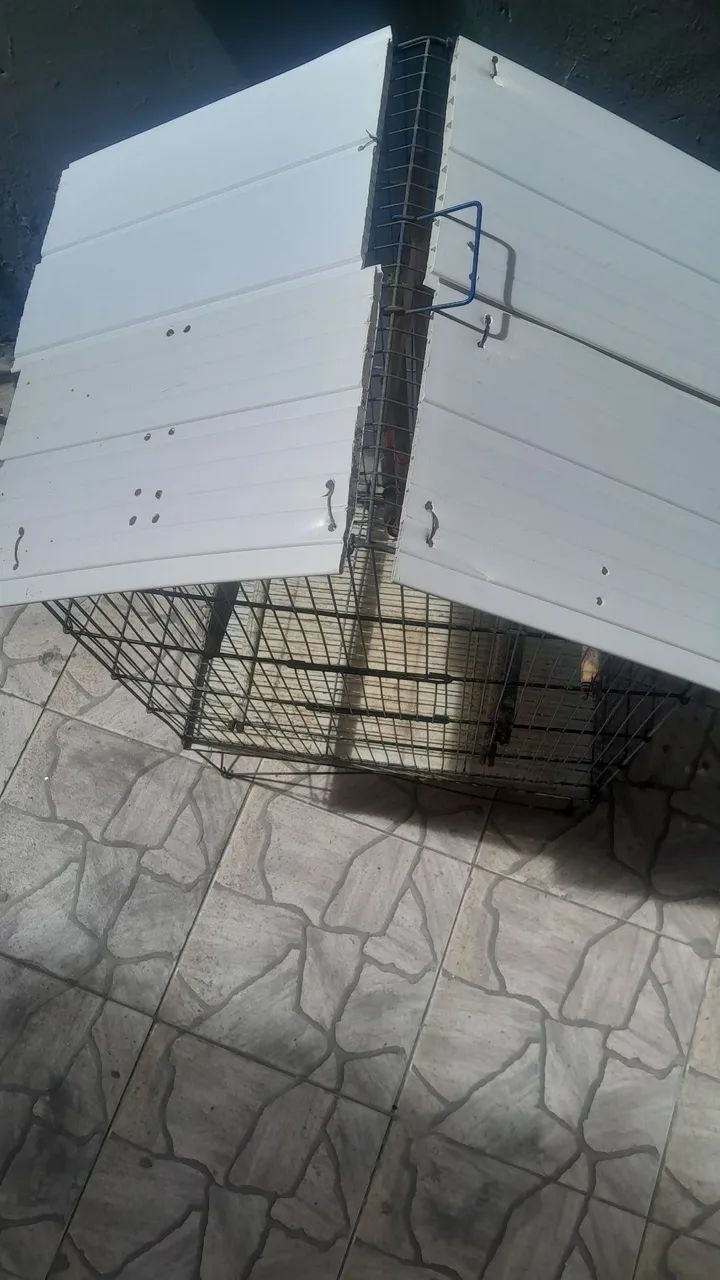 Gaiola64860947633411121