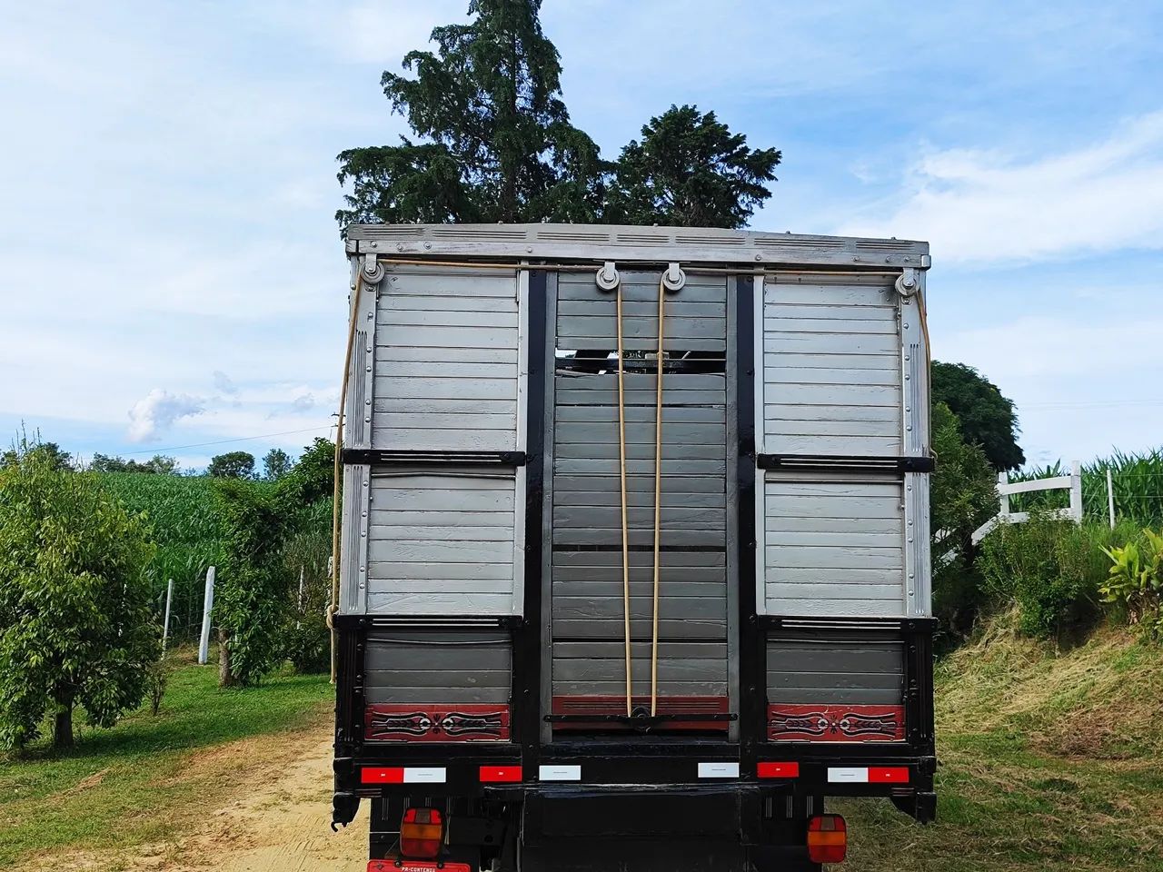 Carroceria Boiadeiro  - Foto 3