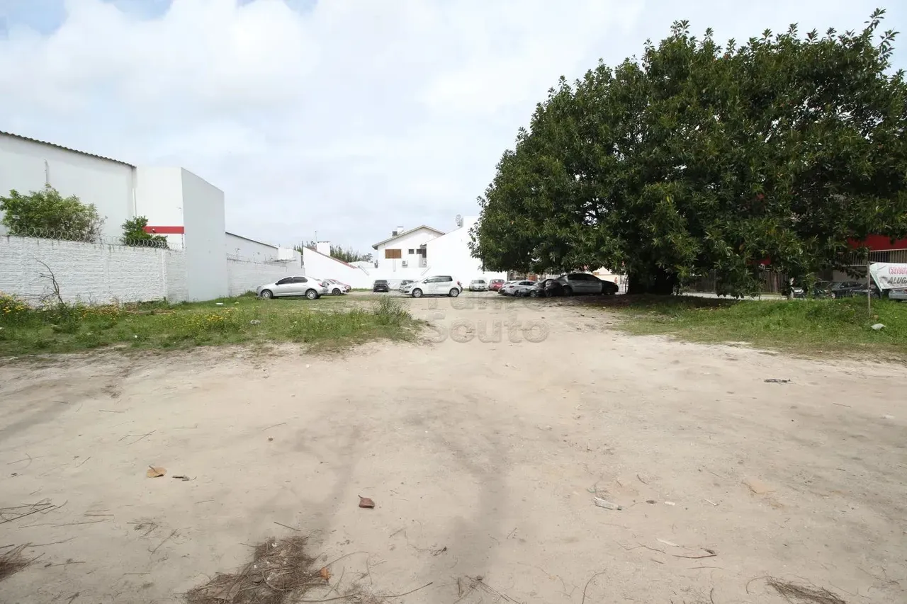 Terreno Padrão em Pelotas