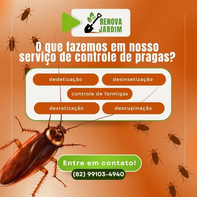 Dedetização e Controle de Pragas - Foto 5