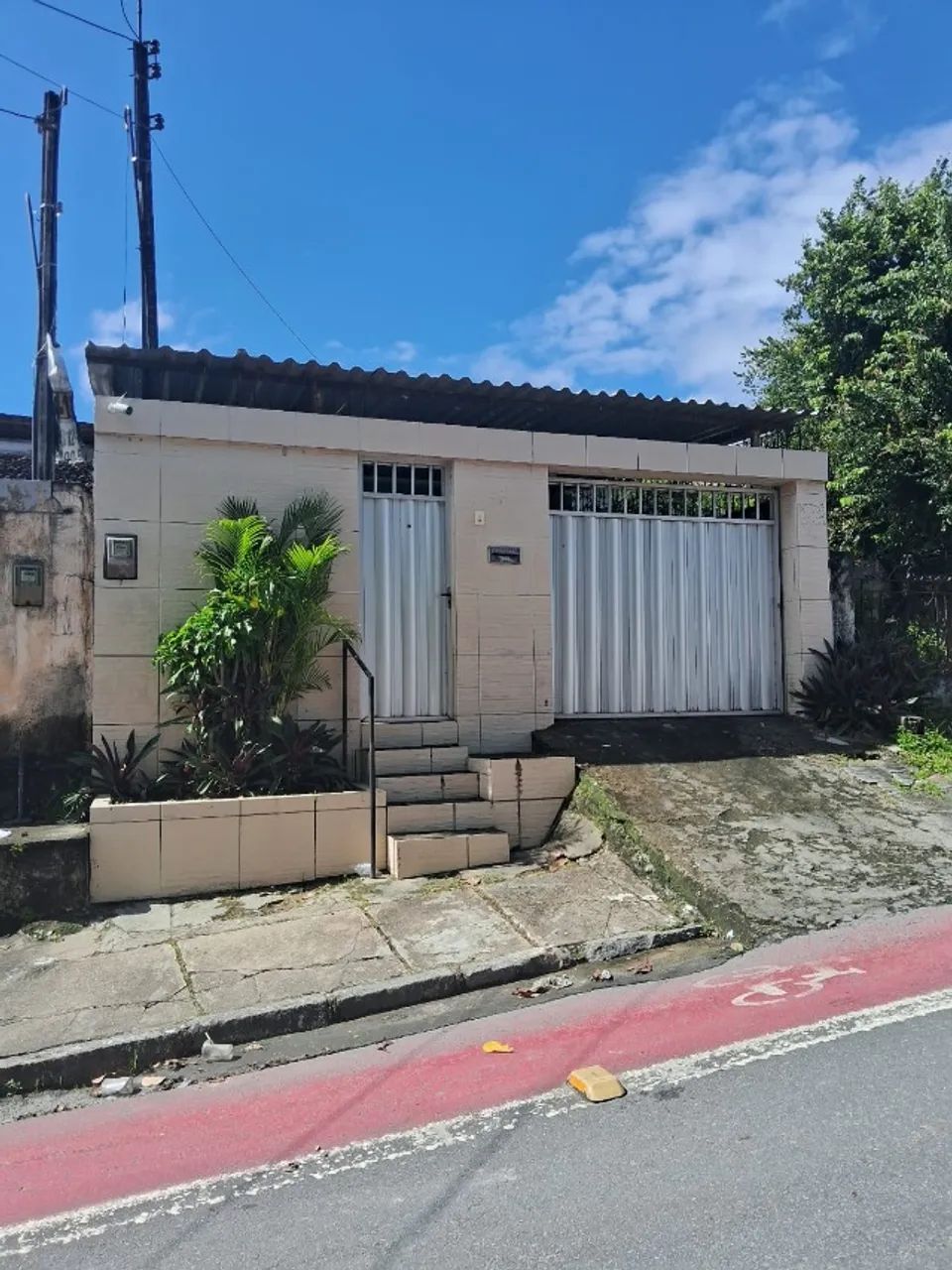 Foto - Recife - Cajueiro