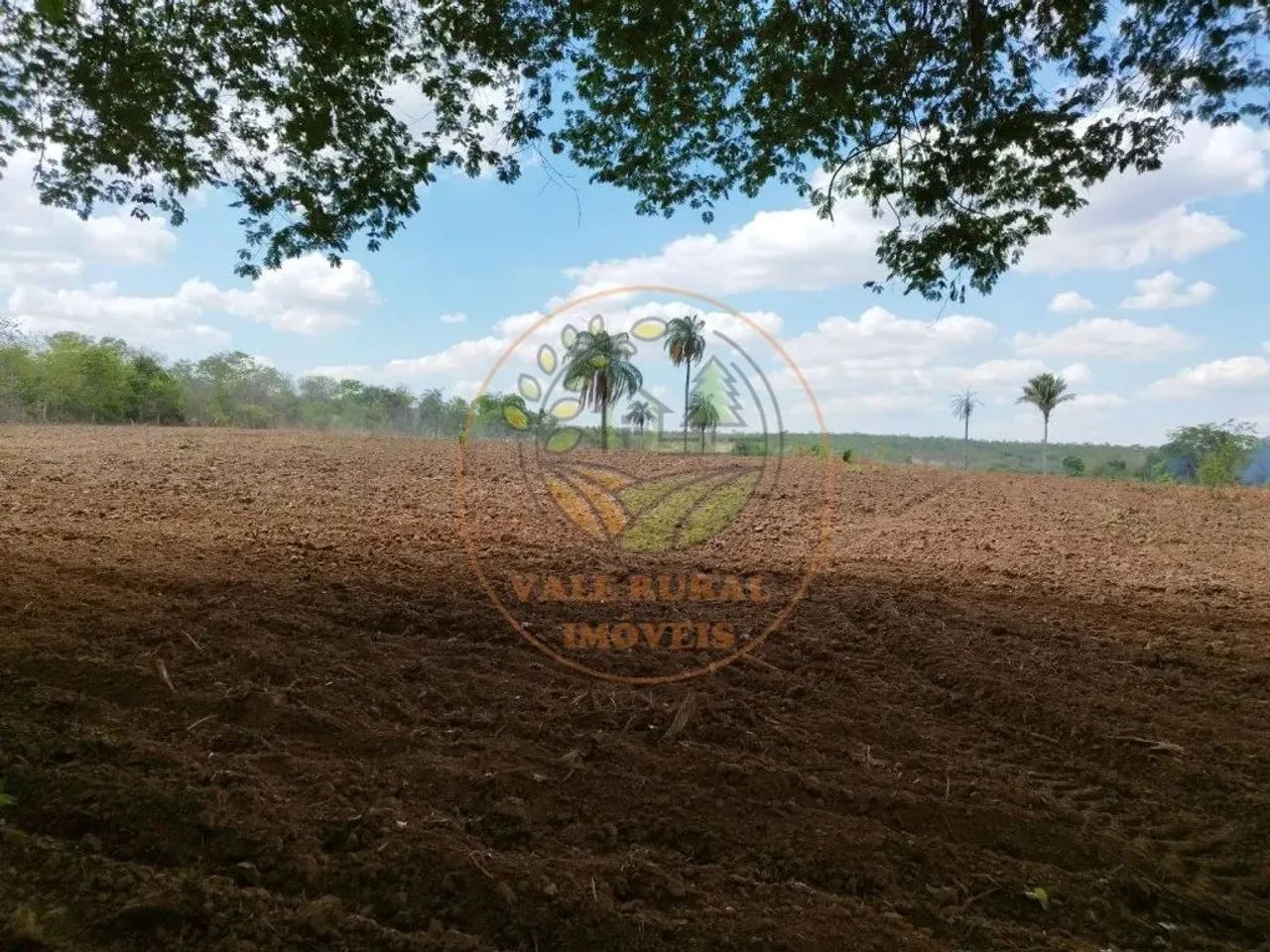 EXCELENTE FAZENDA de 720 HECTARES EM SÃO GONÇALO DE ABAETÉ- MG FA00171 - Foto 4