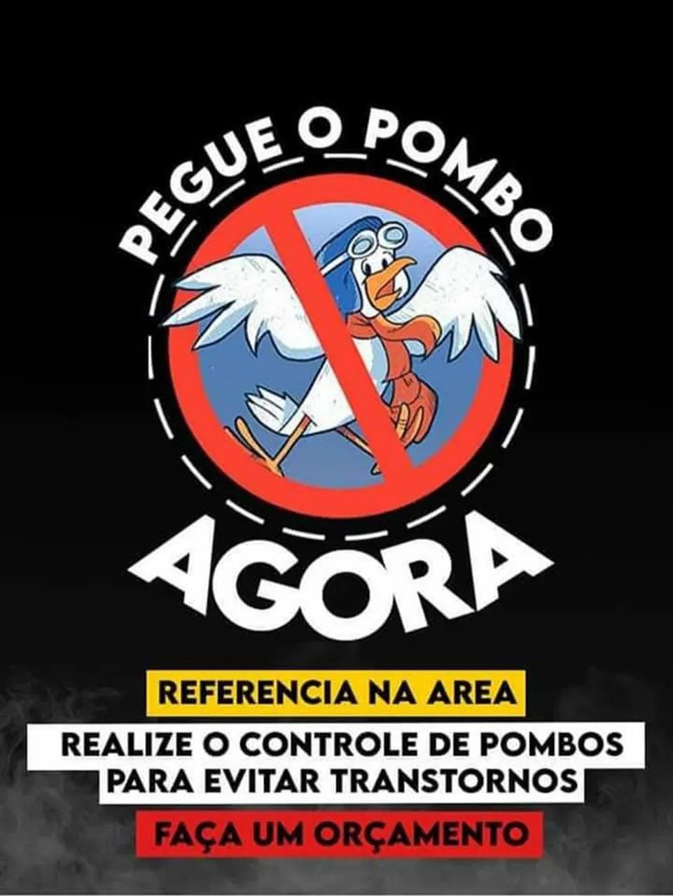 Desentupimento, limpeza de caixas de água, dedetizaçao en geral  - Foto 5