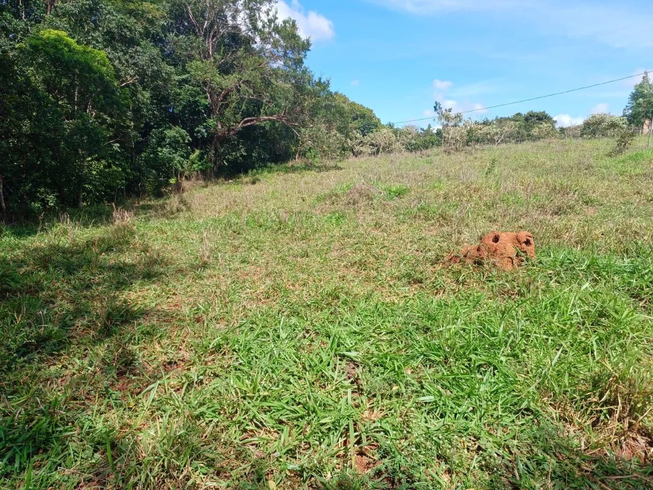Chácara em gameleira de goias 10.000 metros - Foto 12