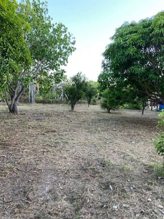 Sítio com casa, igarapé próprio e açude no Bom Intento - Foto 9