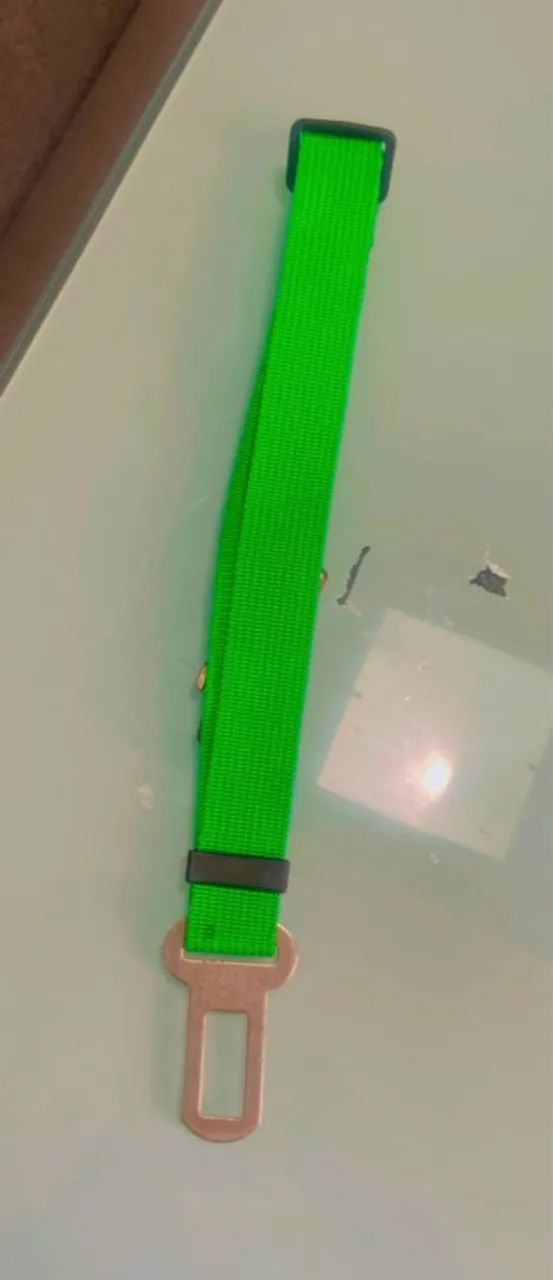 Guia para Cães - Segurança no Carro - Foto 2