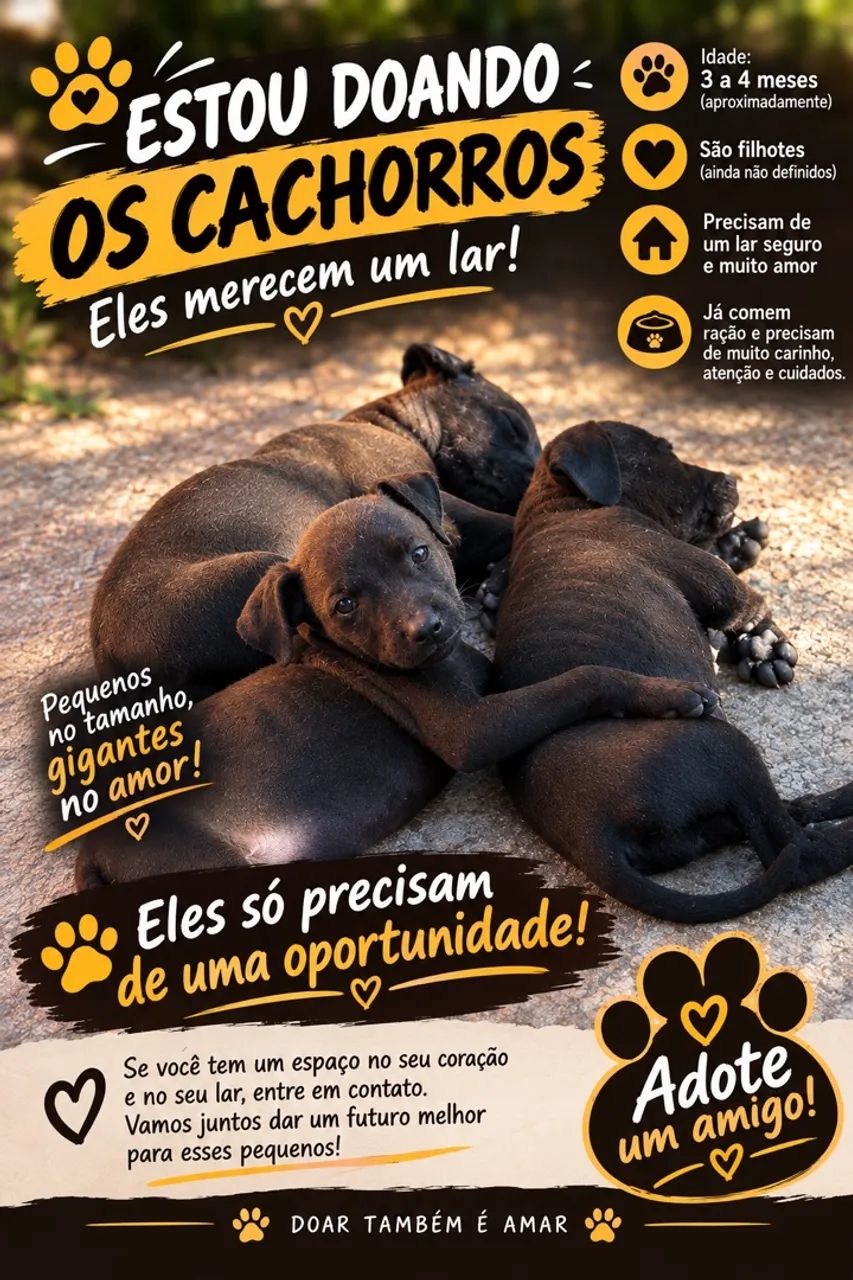 Filhotes para adoção 