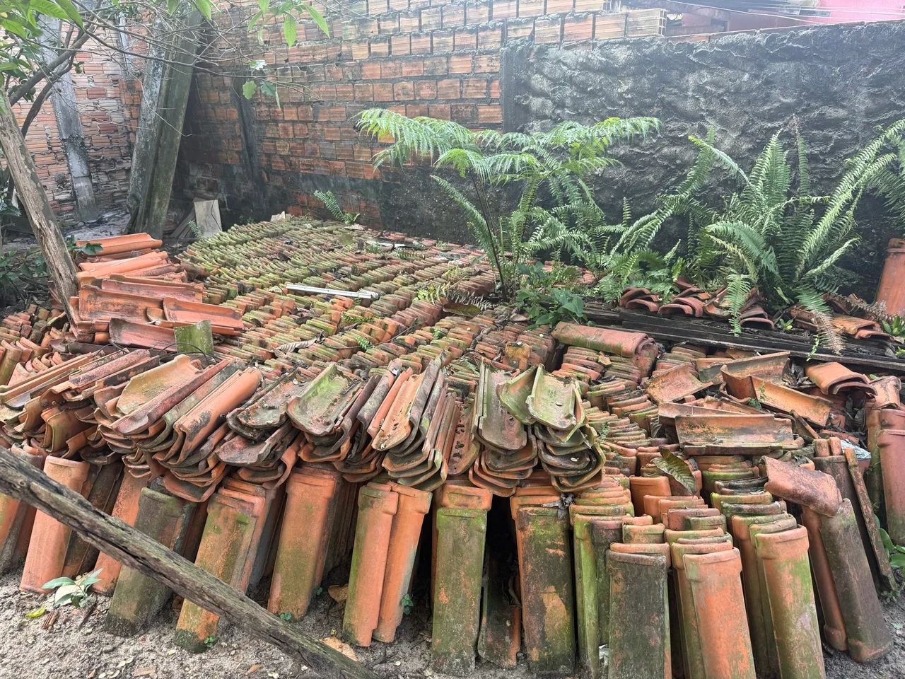 Doa-se 2 mil telhas  - Foto 4