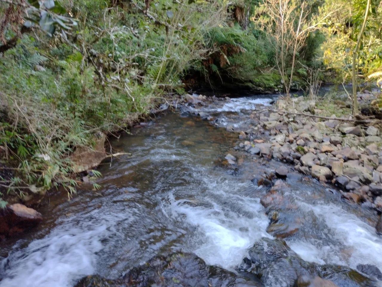 Terreno próximo a Serra do Rio do Rastro - Foto 3