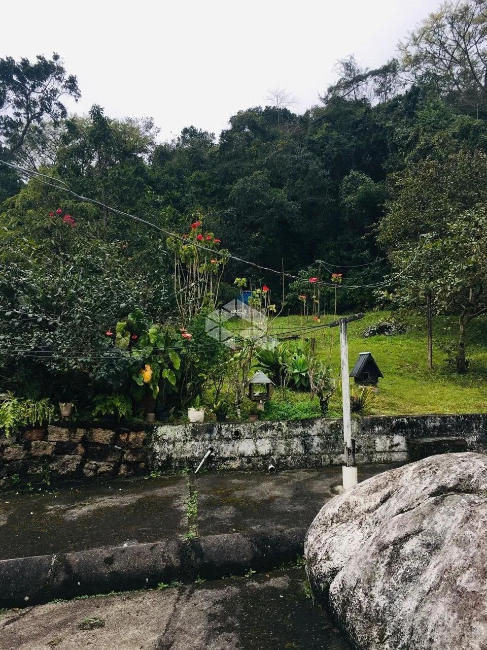 Terreno/ Área a venda em Jurerê - Florianópolis - Foto 5