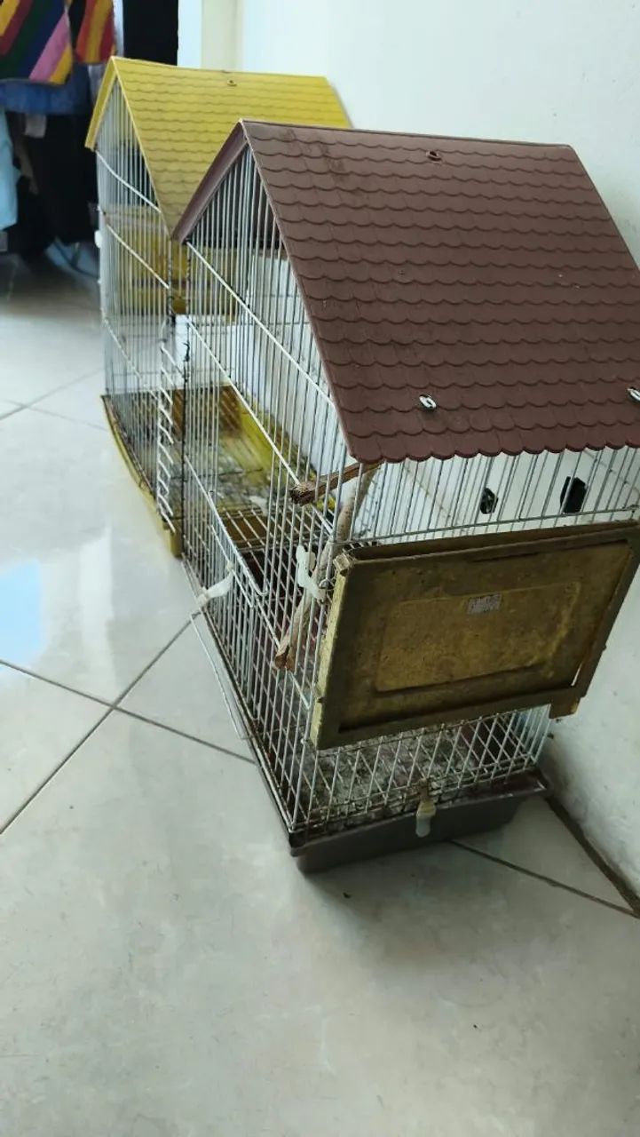 Gaiola  - Foto 3