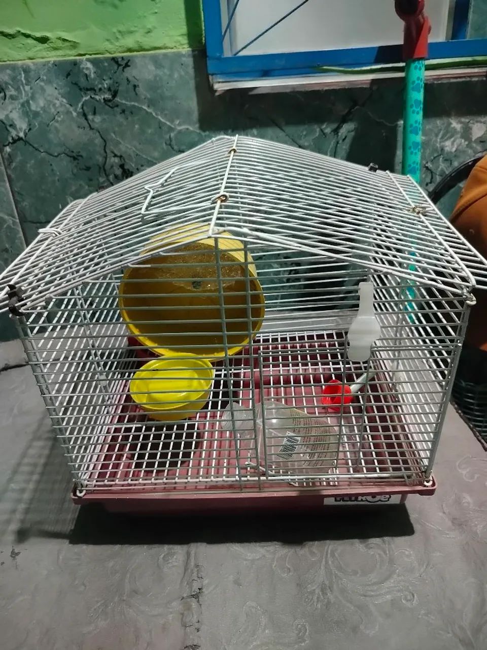 Gaiola hamster