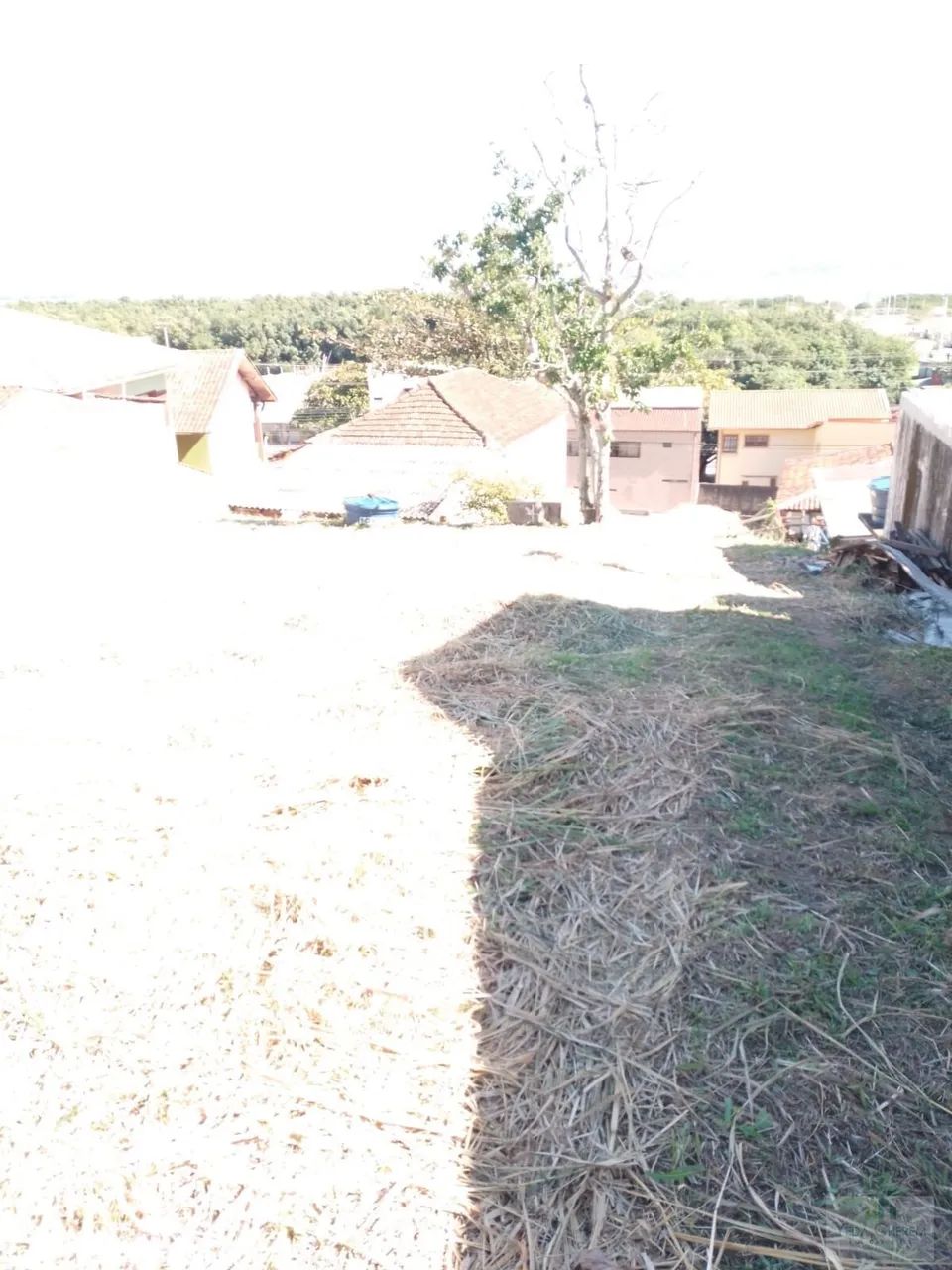 Terreno à venda no bairro Costeira Pirajubaé Florianópolis SC . - Foto 3