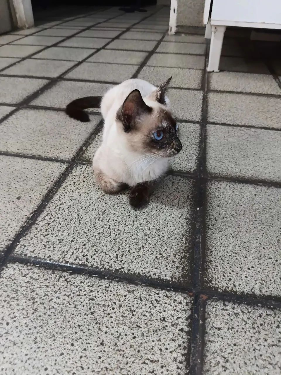 Doação - Foto 2