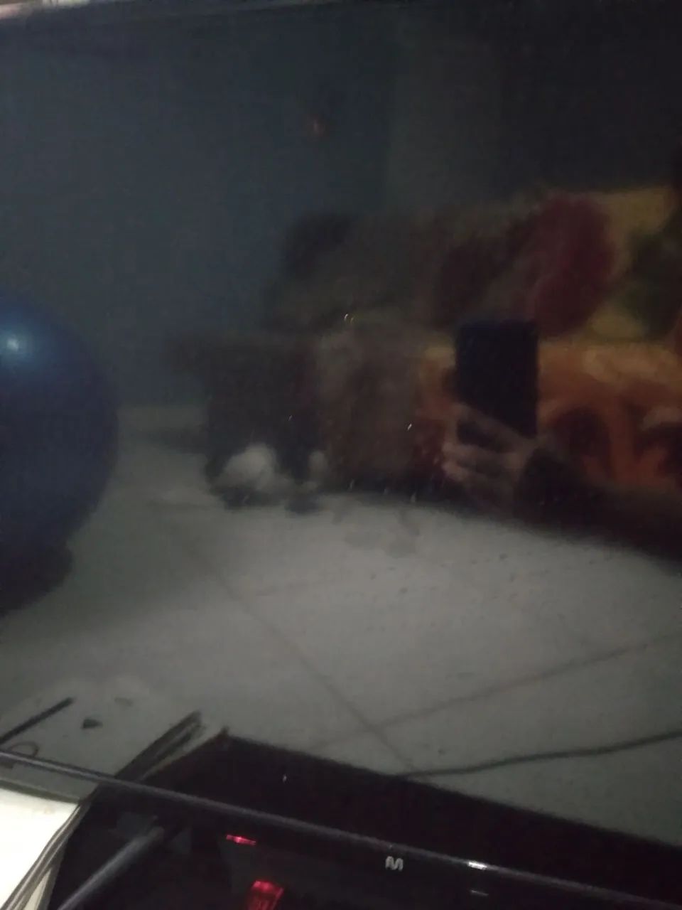 750,00 Televisor Android Multilaser semi nova ligar * - Foto 2