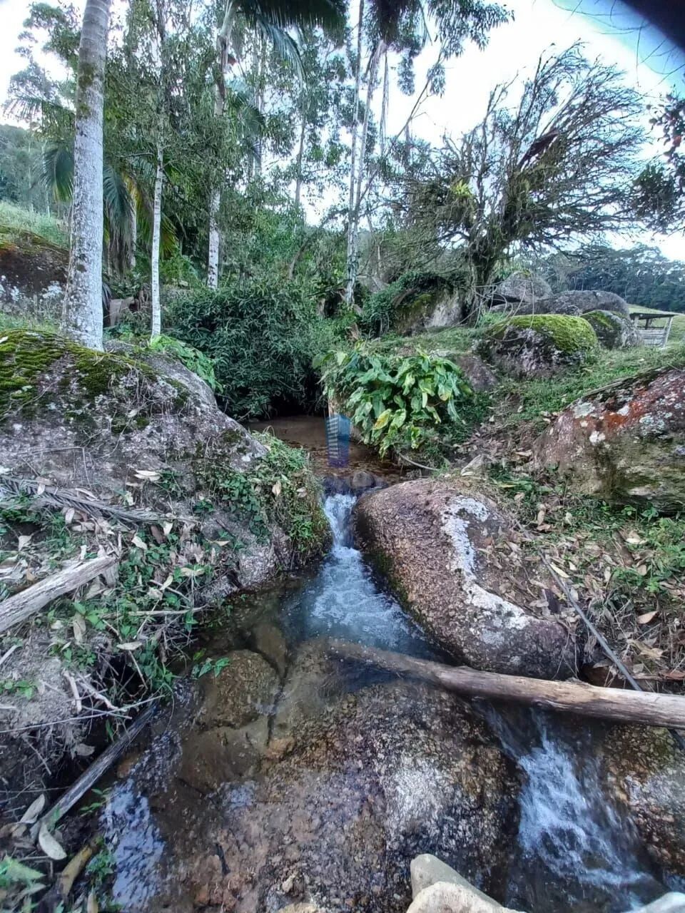 Sítio com 70 hectares em Major Gercino SC - Foto 2