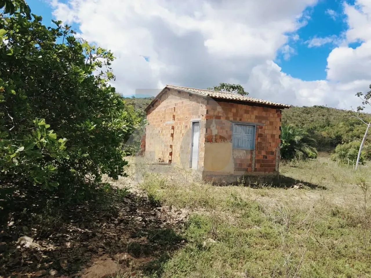 Terreno à Venda no Abaís: 1.970 m² Totalmente Aterrado e Planado - Foto 3