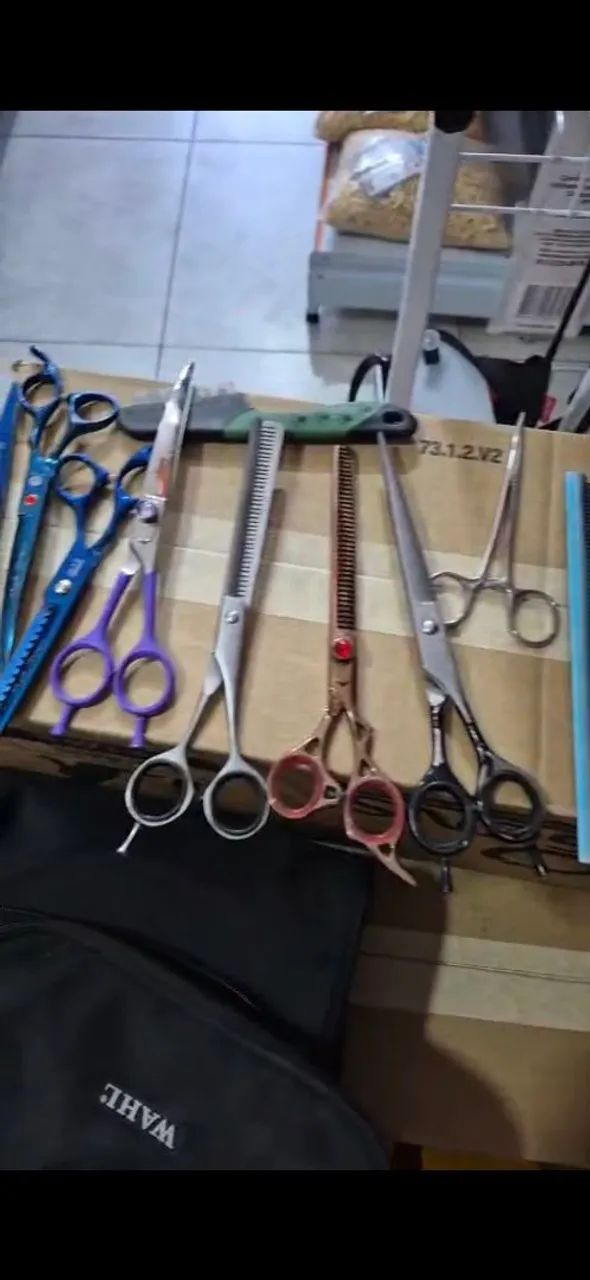 Kit banho e tosa - Foto 4