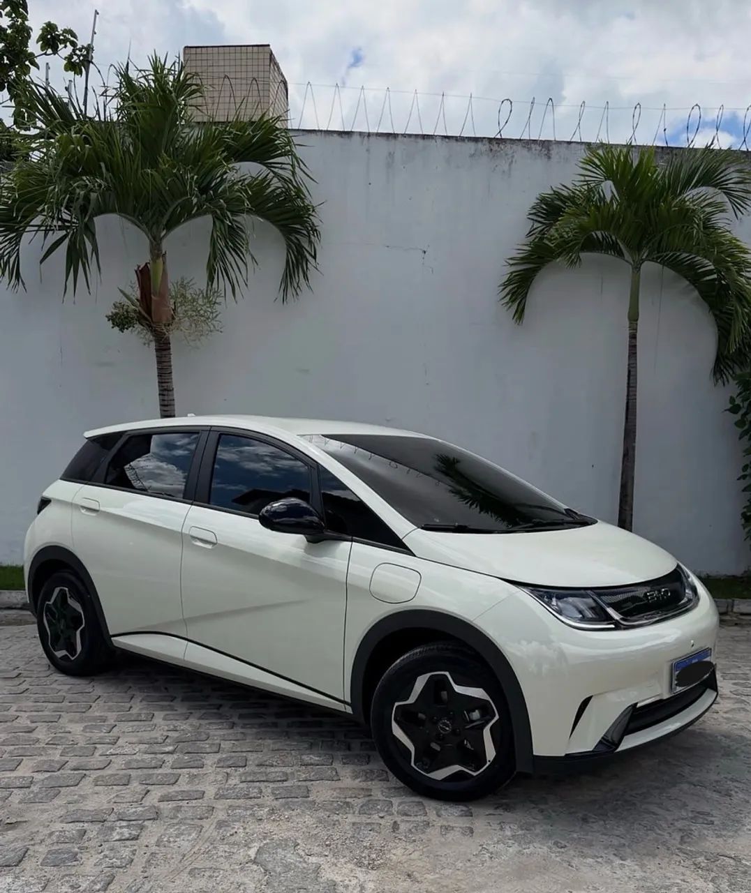 BYD Dolphin Plus (Elétrico) 2024
