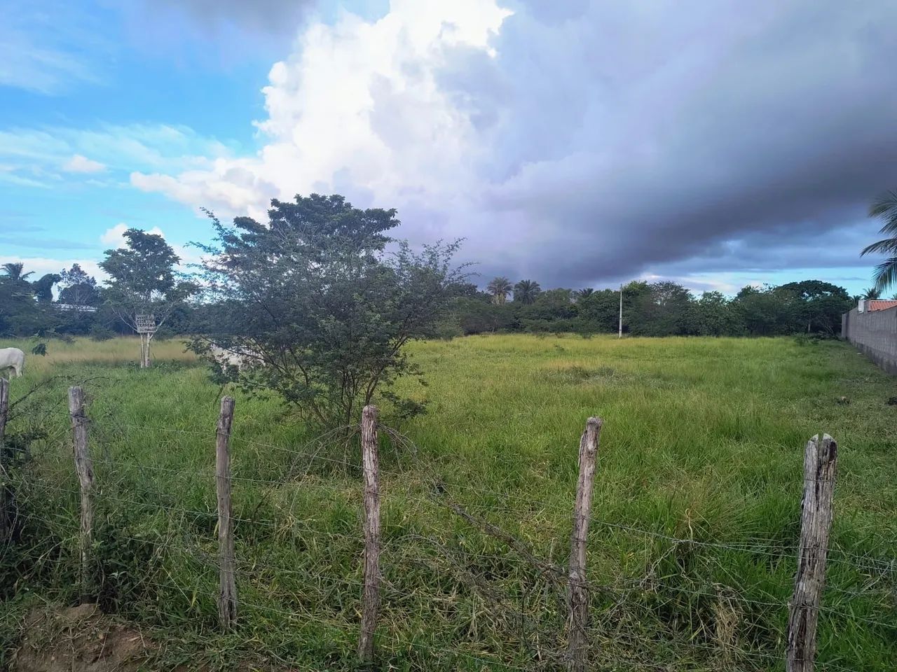 Terreno em Conceição do jacuipe