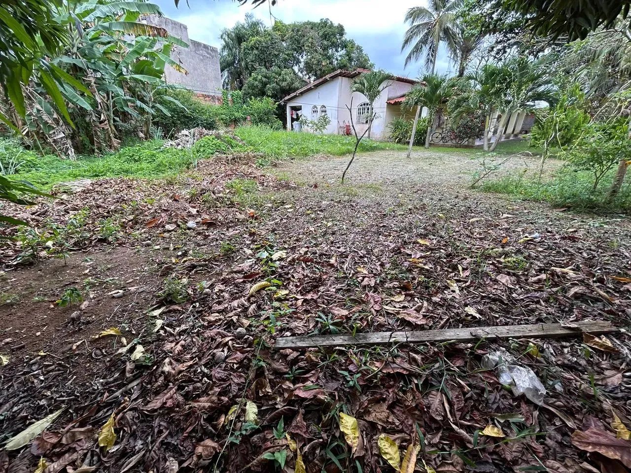 Venda - Terreno Plano | 1.200 M2 | Murado | Esquina | Abrantes - Foto 5