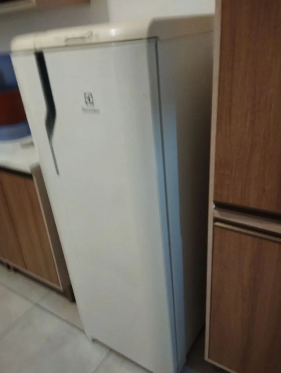 Geladeira, Eletrolux Re 31