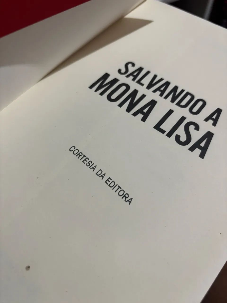 Salvando a Monalisa - Foto 4
